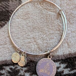 Alex and Ani Silver and Purple Charm Bracelet